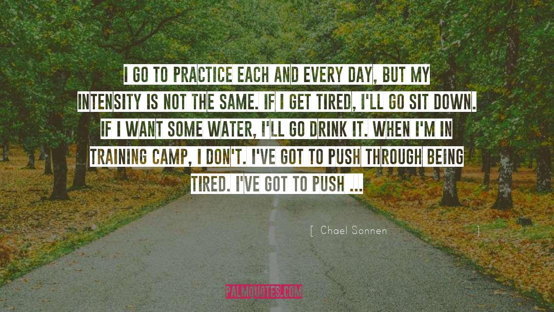 Landsmans Day Camp quotes by Chael Sonnen