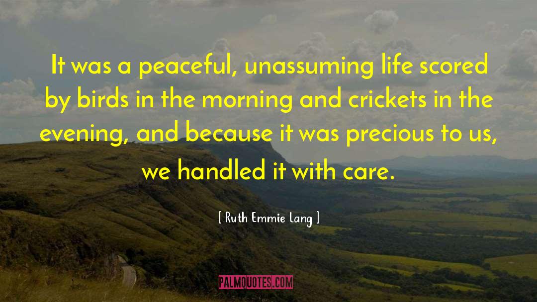 Lang quotes by Ruth Emmie Lang