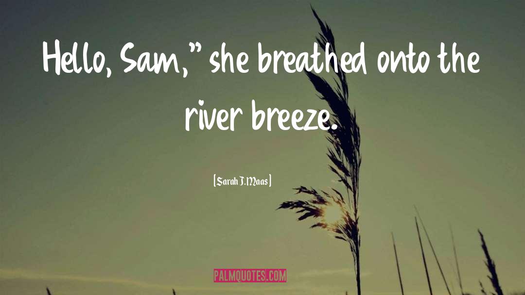 Langensteins River quotes by Sarah J. Maas