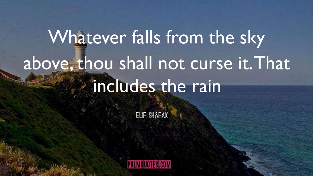 Langfield Falls quotes by Elif Shafak