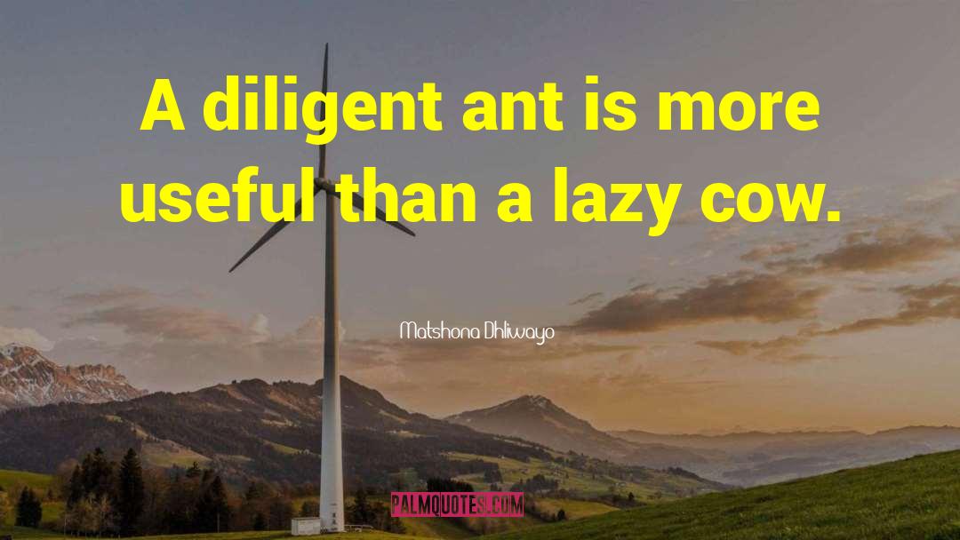 Langtons Ant quotes by Matshona Dhliwayo