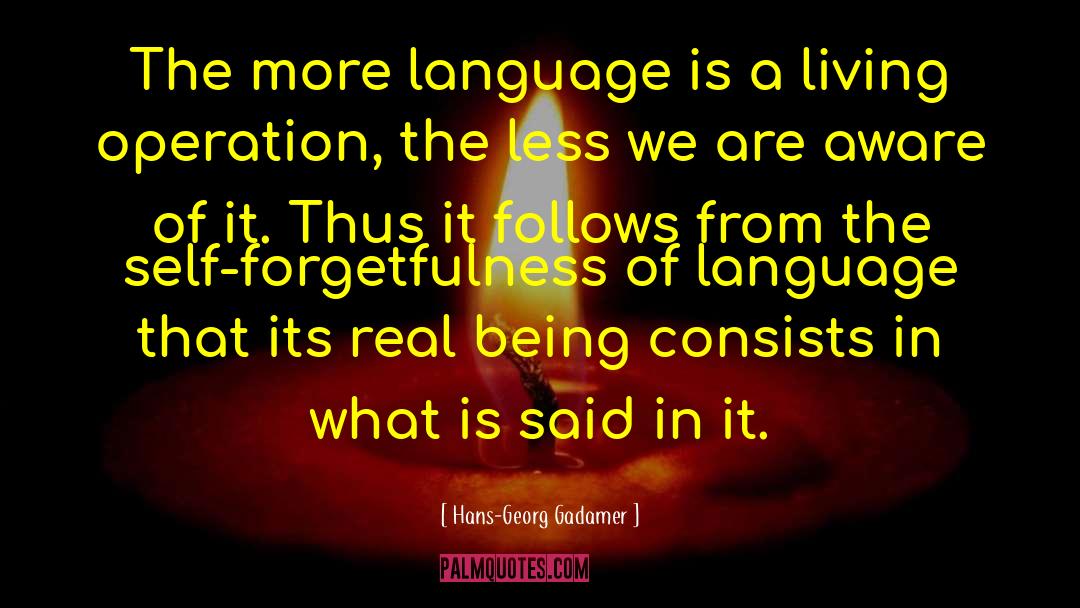 Language Of Art quotes by Hans-Georg Gadamer