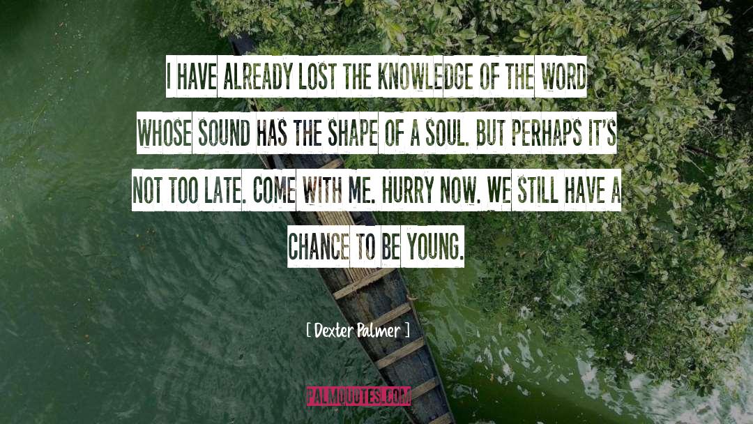 Language Of Soul quotes by Dexter Palmer