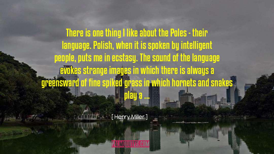 Language Policing quotes by Henry Miller