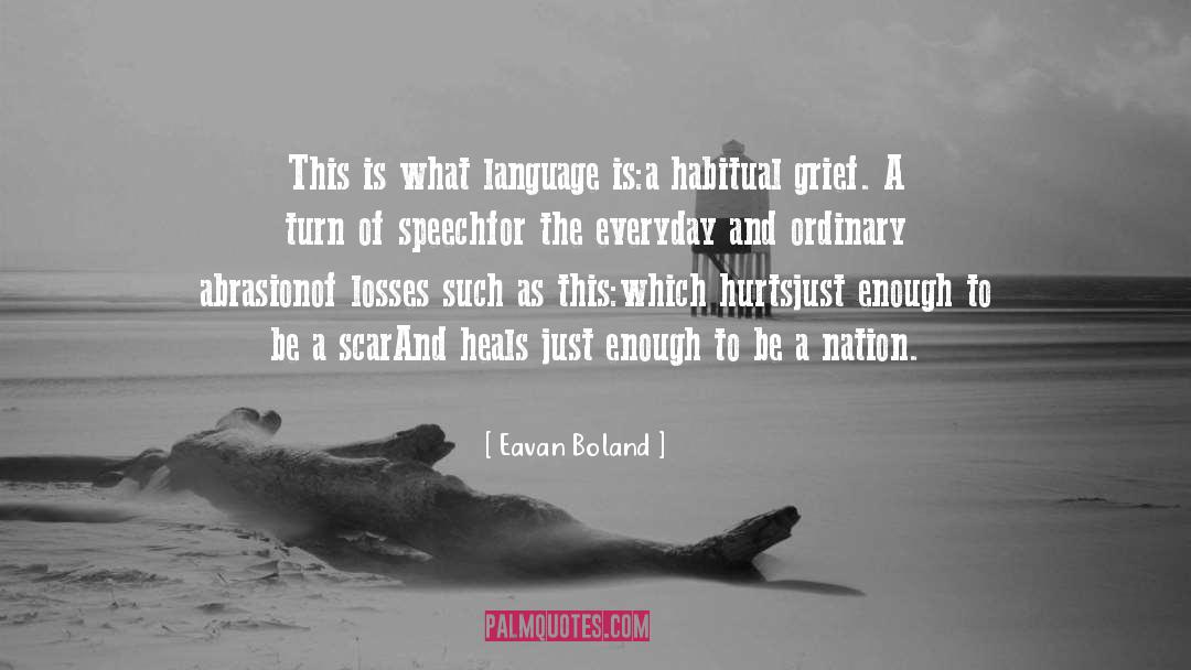 Language Use quotes by Eavan Boland