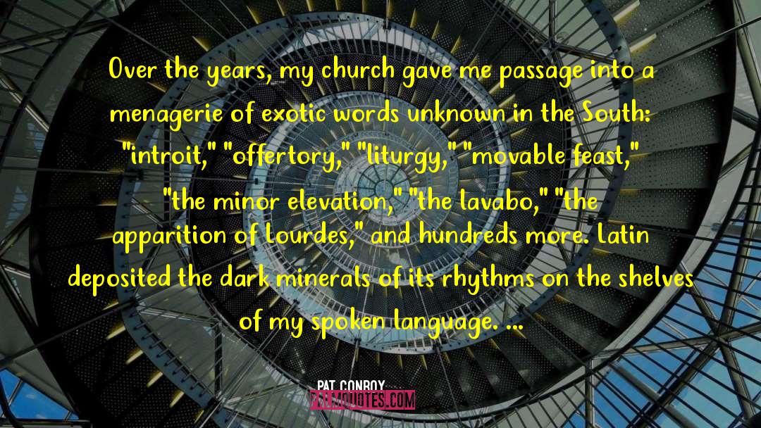 Language Words quotes by Pat Conroy