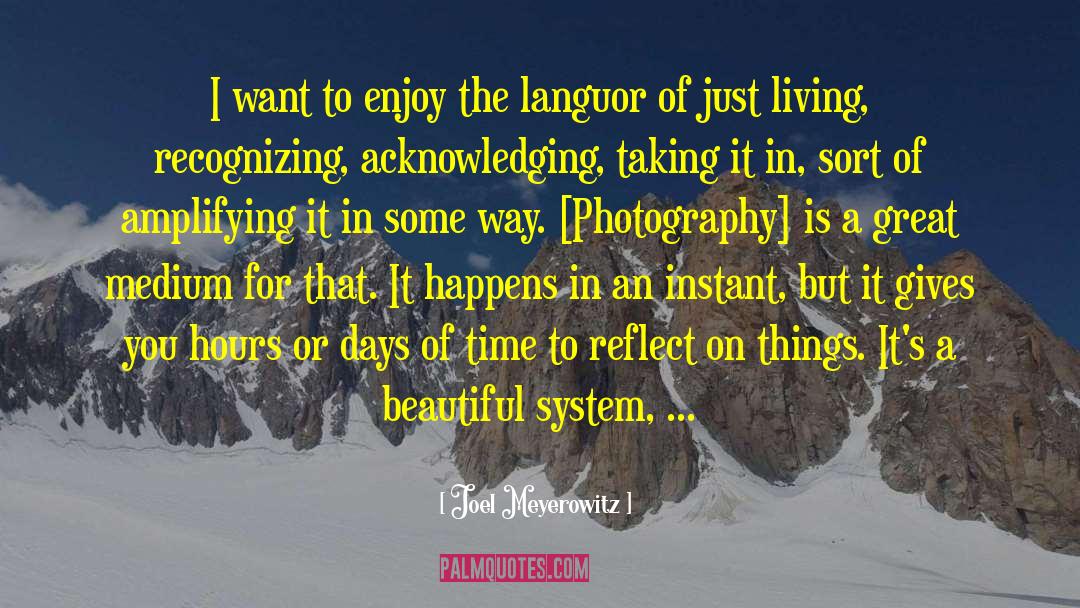 Languor quotes by Joel Meyerowitz