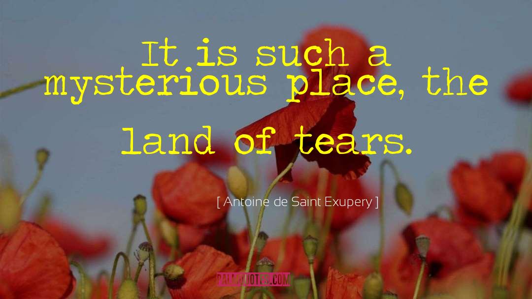 Lanise Antoine quotes by Antoine De Saint Exupery