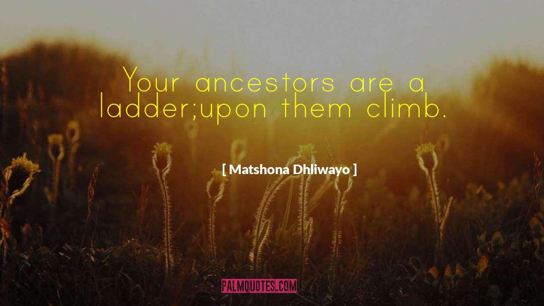 Lansinks Ladder quotes by Matshona Dhliwayo