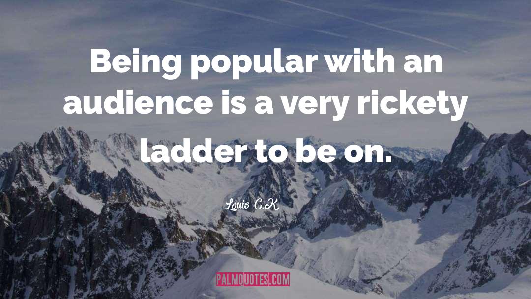 Lansinks Ladder quotes by Louis C.K.