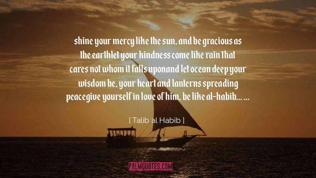 Lanterns quotes by Talib Al Habib