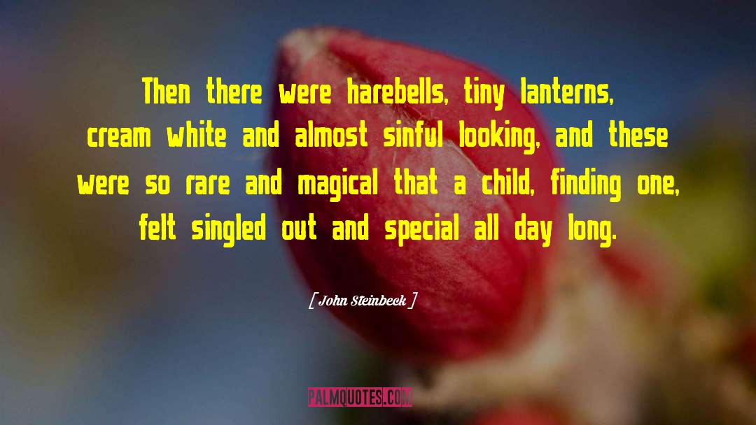 Lanterns quotes by John Steinbeck