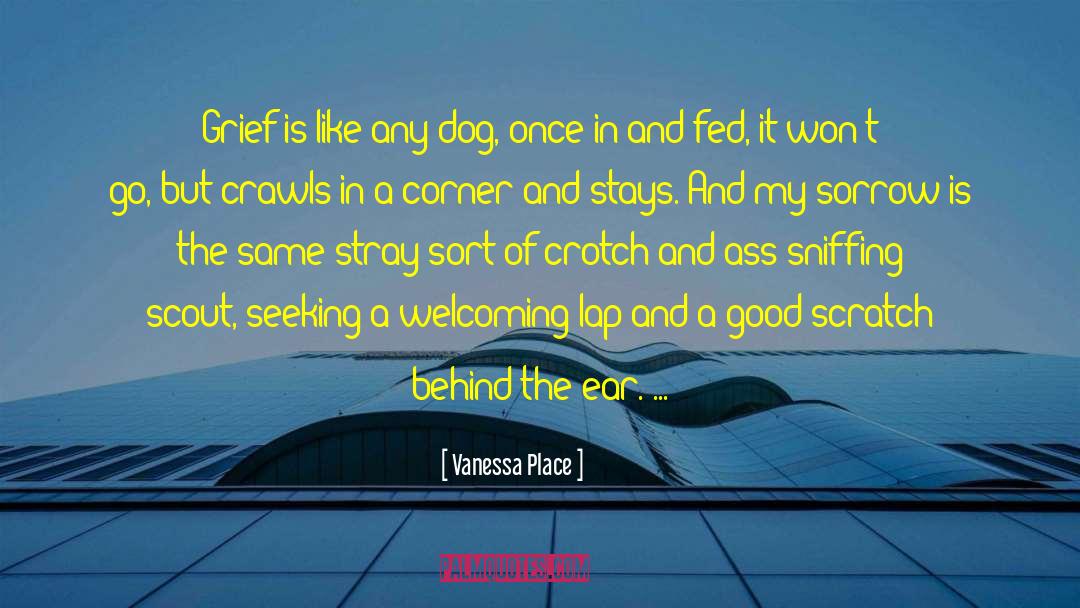 Lap Dog quotes by Vanessa Place