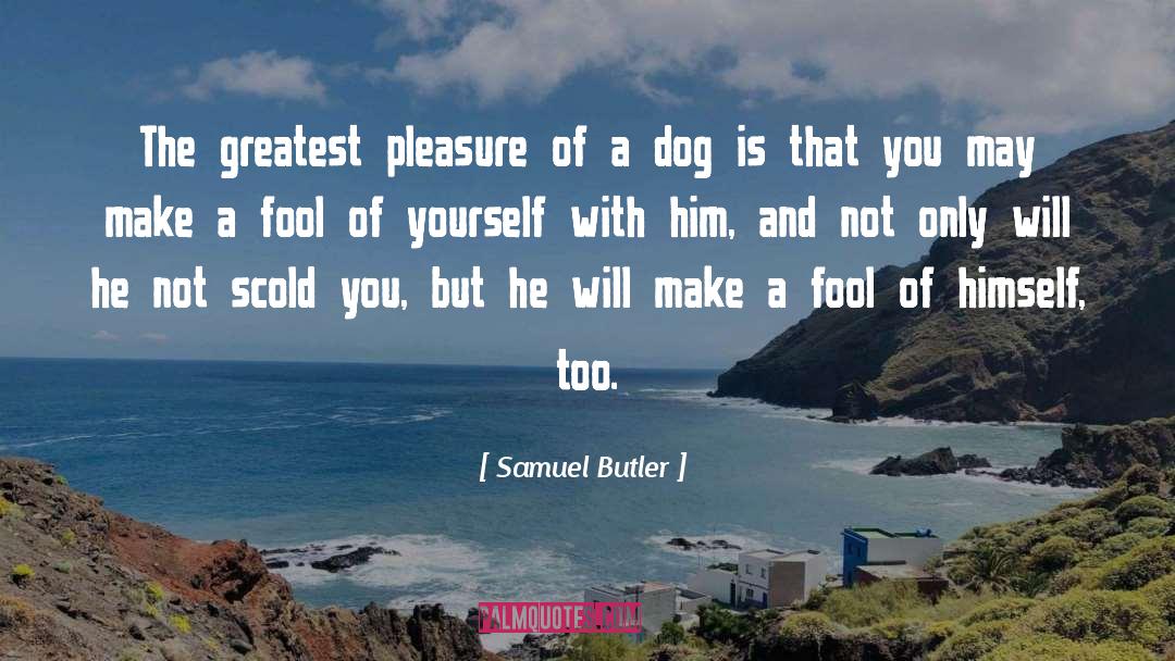 Lap Dogs quotes by Samuel Butler