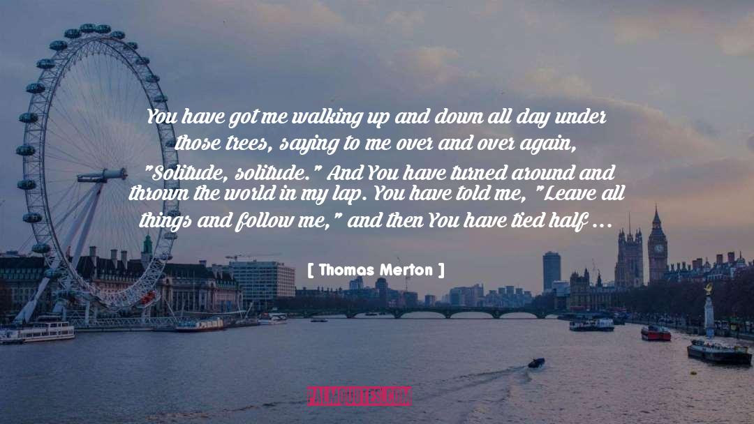 Lap quotes by Thomas Merton