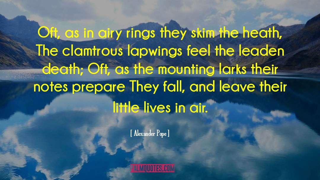 Lapwings quotes by Alexander Pope