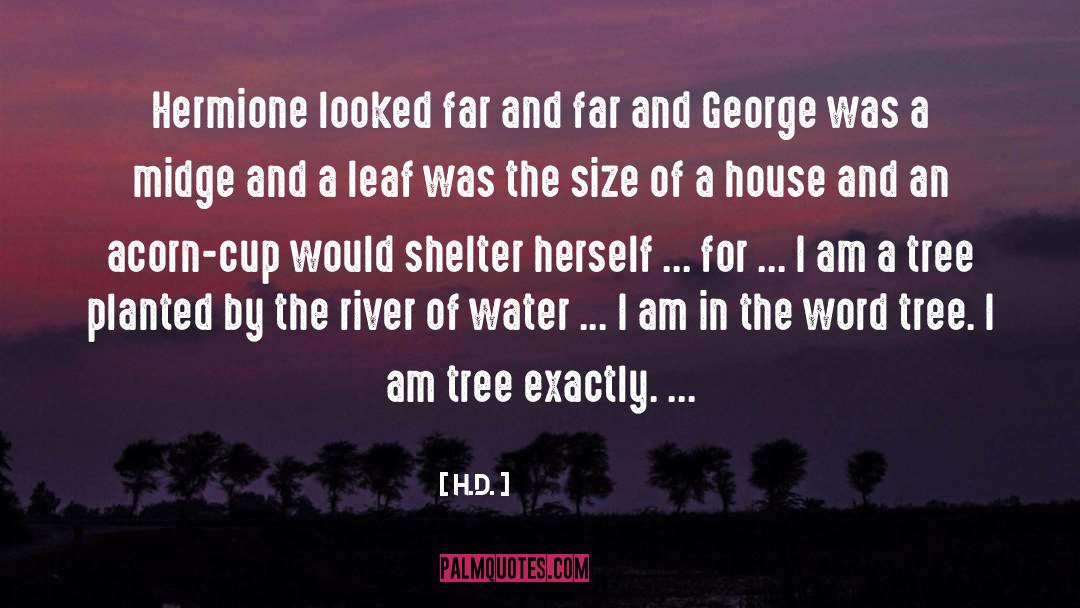 Larches Tree quotes by H.D.