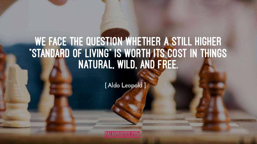 Large Things quotes by Aldo Leopold