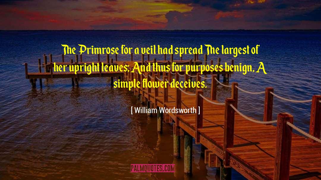 Largest quotes by William Wordsworth