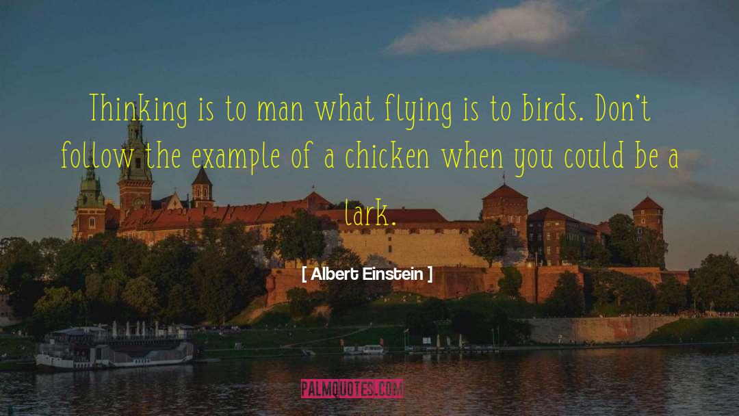 Larks quotes by Albert Einstein