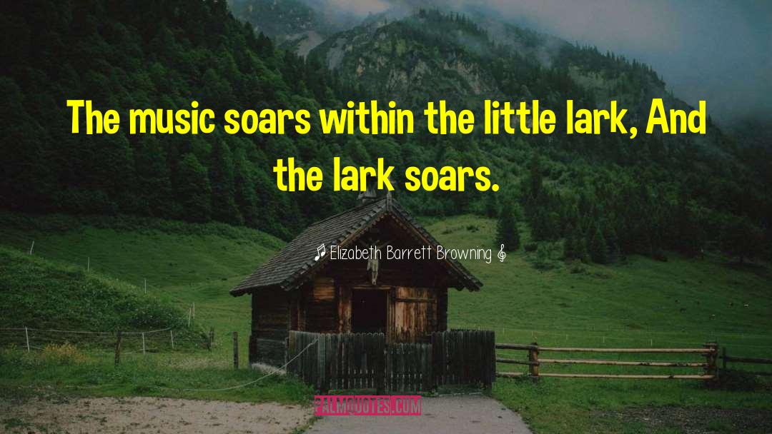 Larks quotes by Elizabeth Barrett Browning