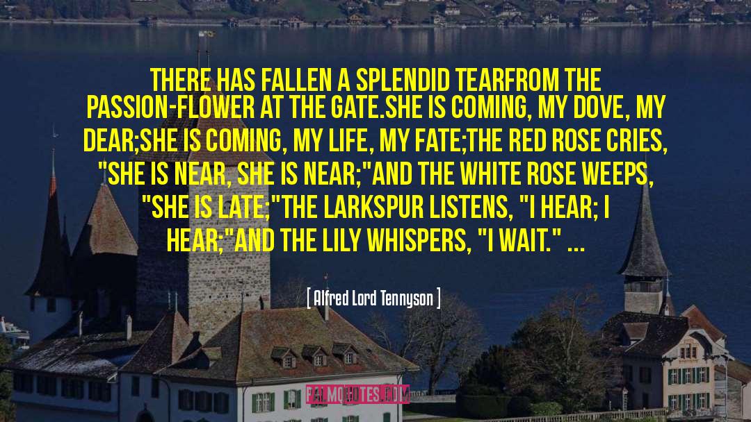 Larkspur quotes by Alfred Lord Tennyson