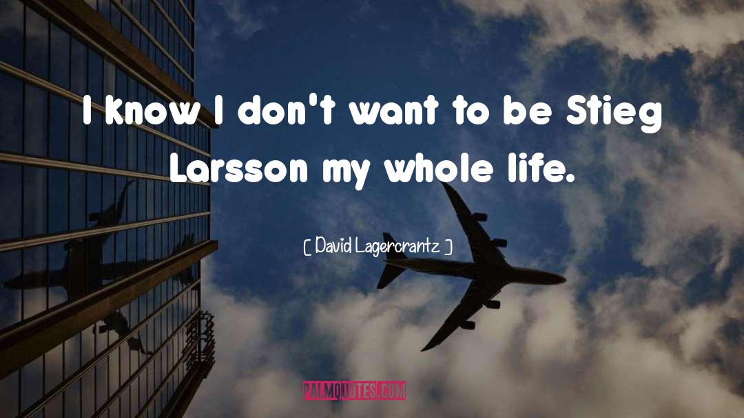 Larsson quotes by David Lagercrantz