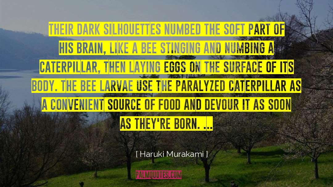 Larvae quotes by Haruki Murakami