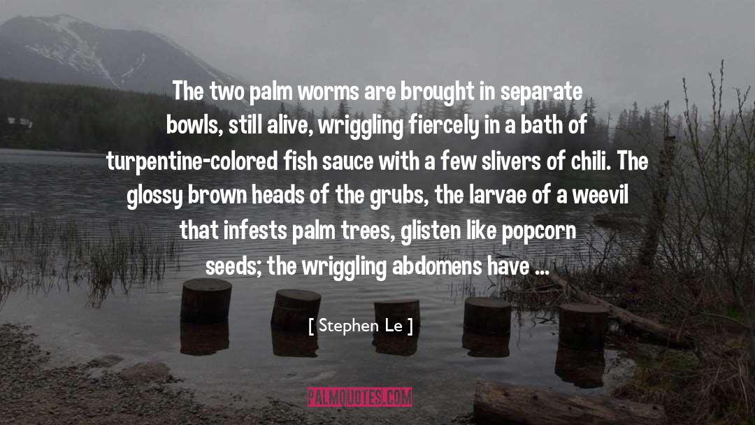 Larvae quotes by Stephen Le