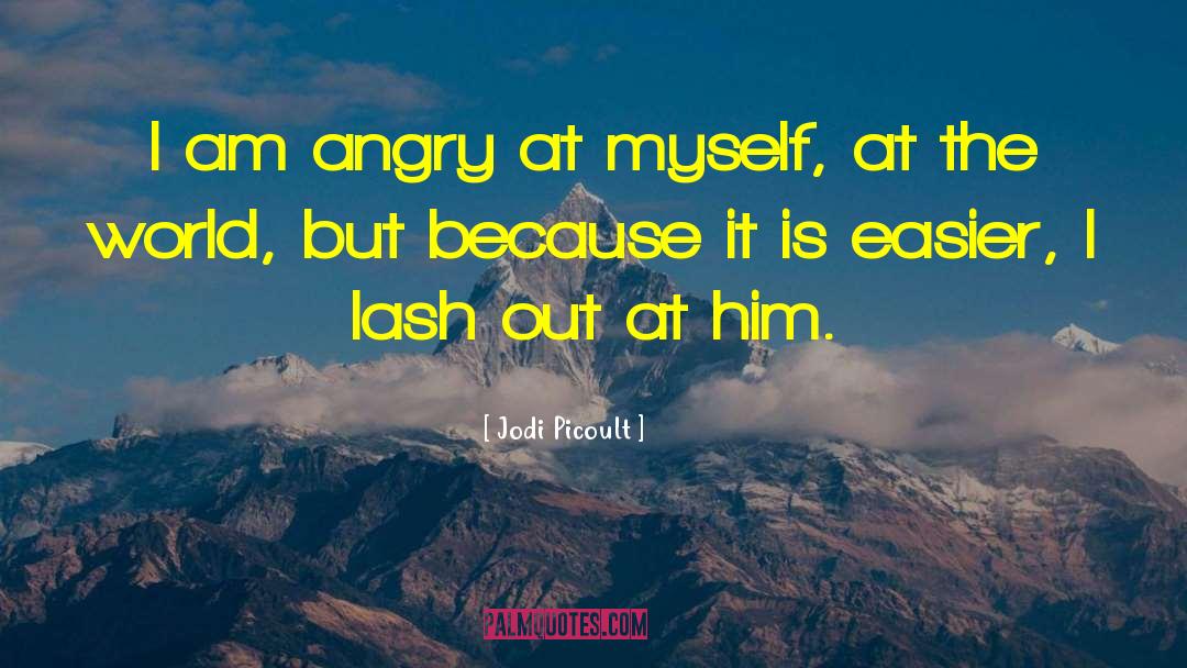 Lash Out quotes by Jodi Picoult