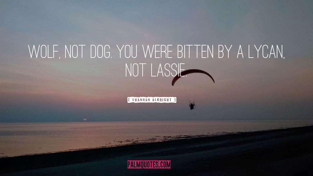 Lassie quotes by Shannan Albright