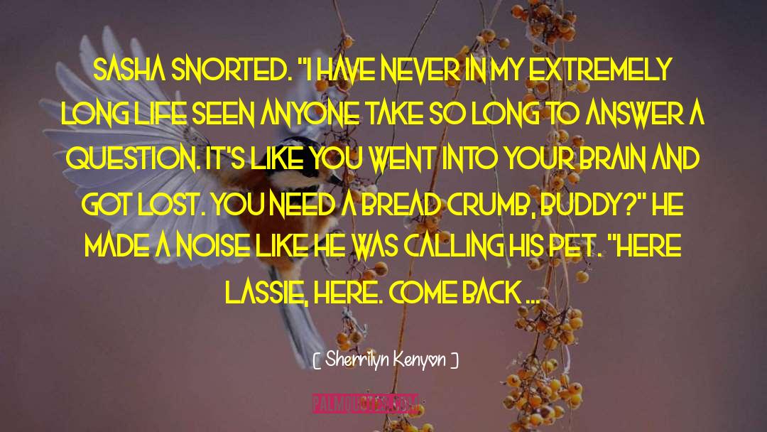 Lassie quotes by Sherrilyn Kenyon