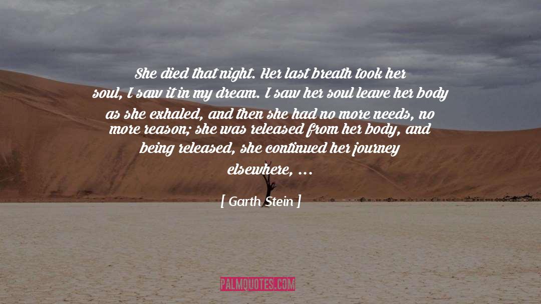 Last Breath quotes by Garth Stein