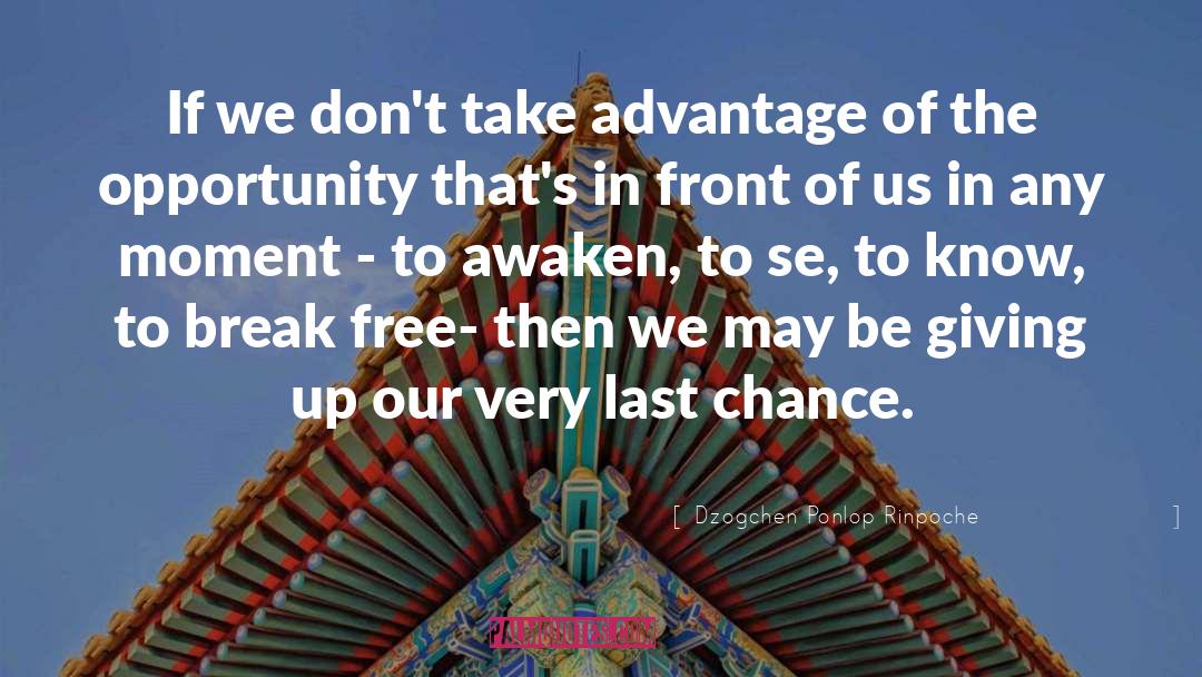 Last Chance quotes by Dzogchen Ponlop Rinpoche