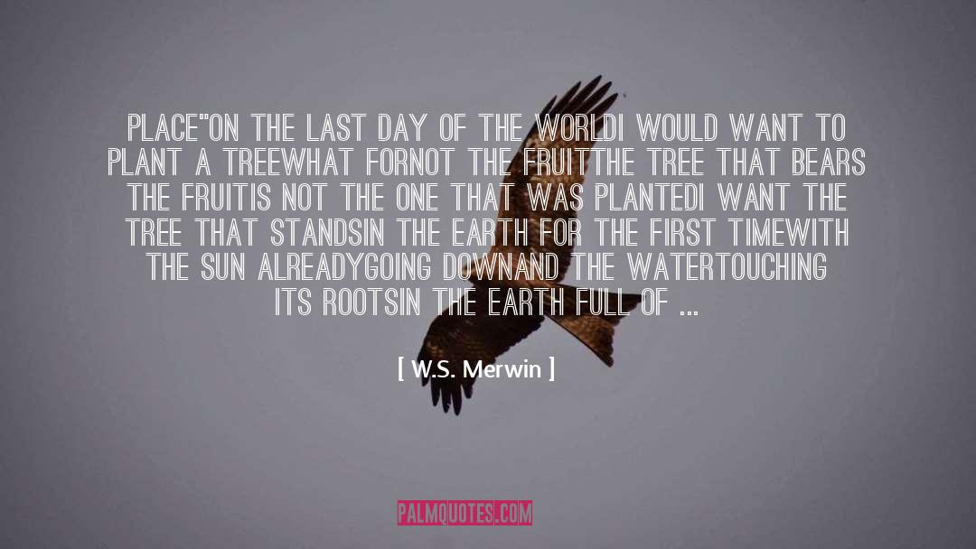 Last Day quotes by W.S. Merwin