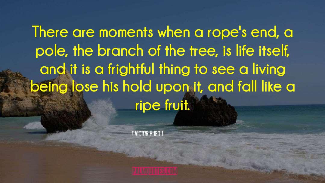 Last Hope quotes by Victor Hugo