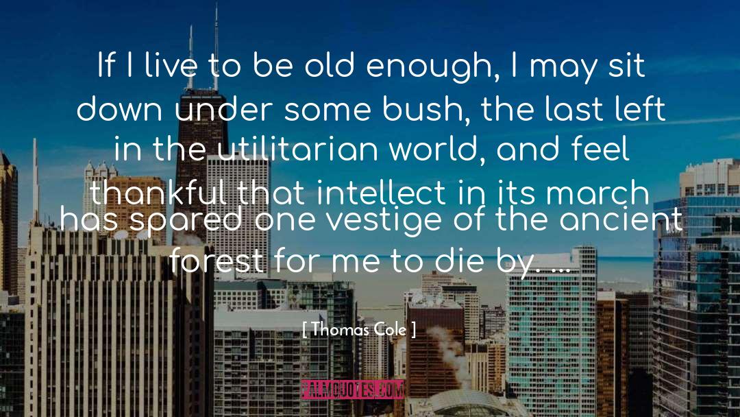 Last March Of The Ents quotes by Thomas Cole