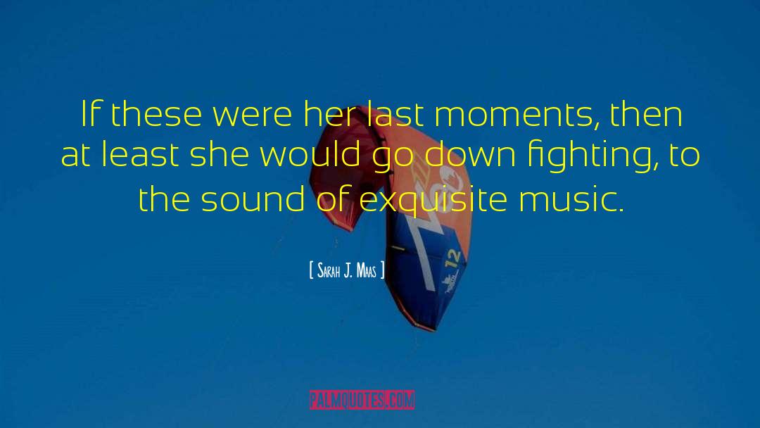 Last Moments quotes by Sarah J. Maas