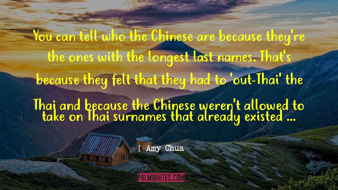 Last Names quotes by Amy Chua