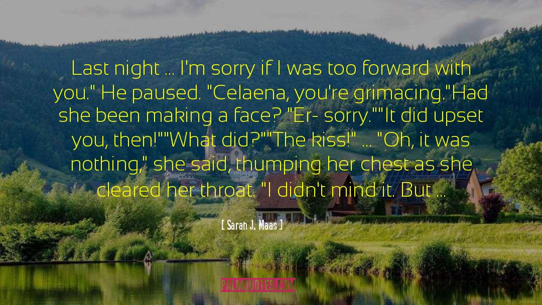 Last Night Fun quotes by Sarah J. Maas