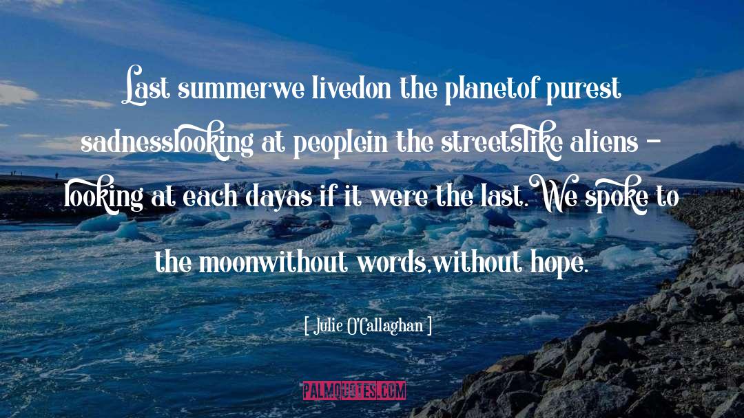 Last Summer quotes by Julie O'Callaghan