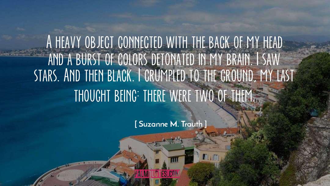 Last Thought quotes by Suzanne M. Trauth
