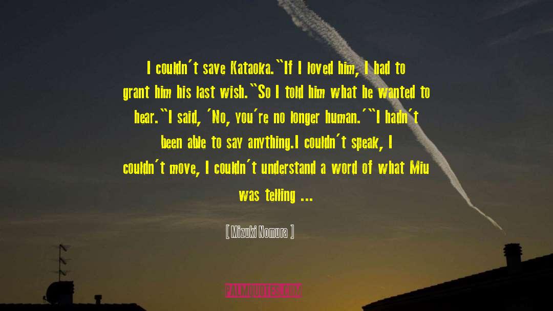 Last Wish quotes by Mizuki Nomura