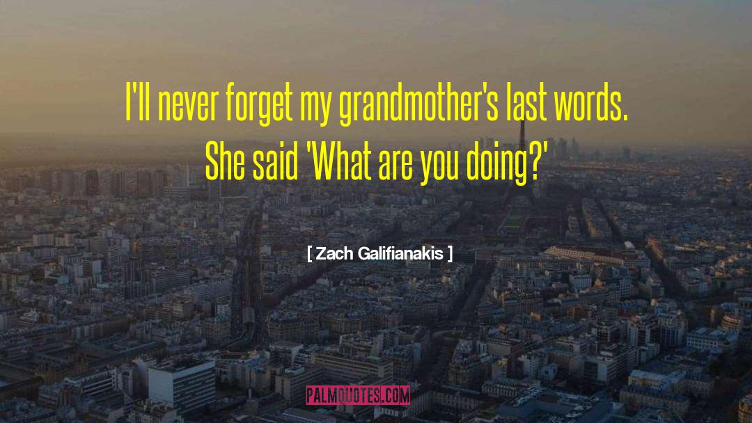 Last Words Funny quotes by Zach Galifianakis