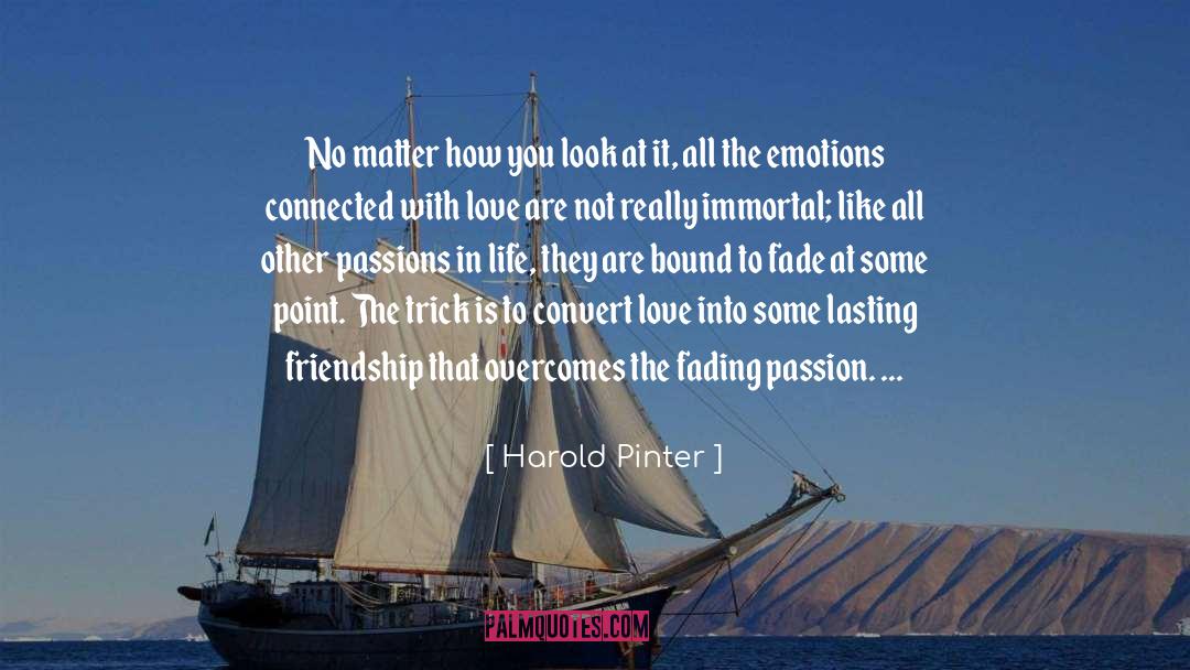 Lasting Friendship quotes by Harold Pinter