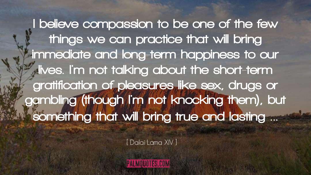 Lasting Happiness quotes by Dalai Lama XIV