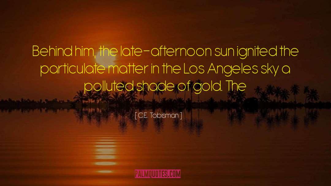 Late Afternoon quotes by C.E. Tobisman