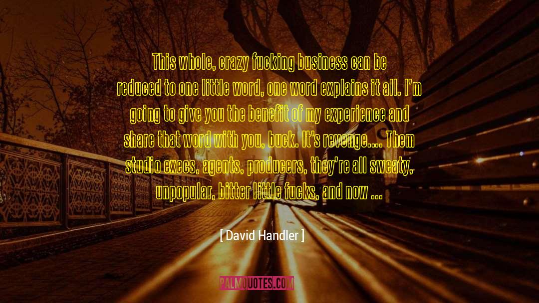 Late Fame quotes by David Handler