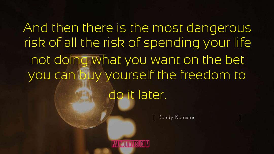 Later Life quotes by Randy Komisar