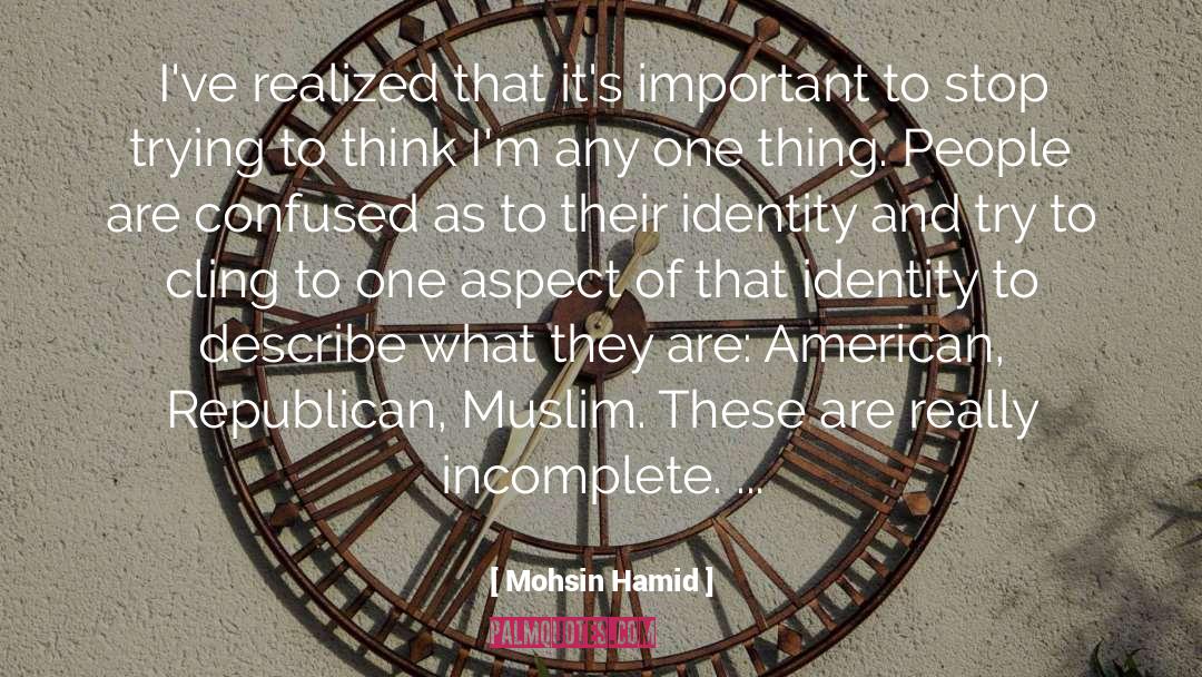 Latino American Identity quotes by Mohsin Hamid